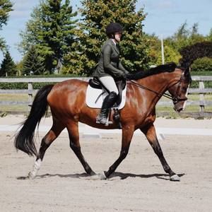 Meet your Posher, Karin